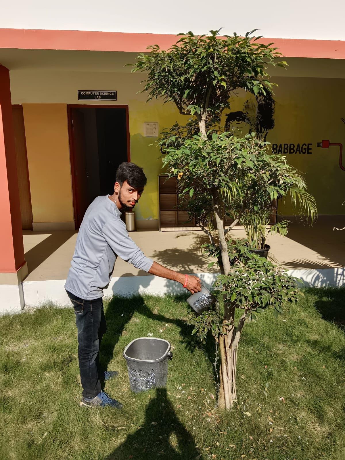 Shram Daan: Watering plant 